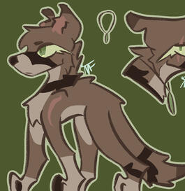 MY OC